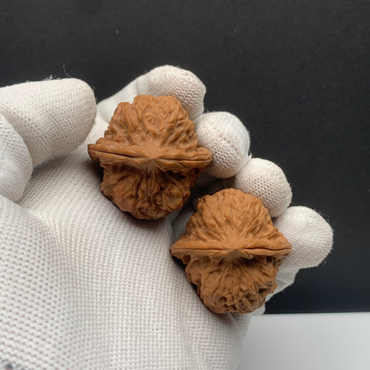 Wupengou Horseshoe Walnuts | Width35*Belly35*Height34 | No. 608132 | Premium