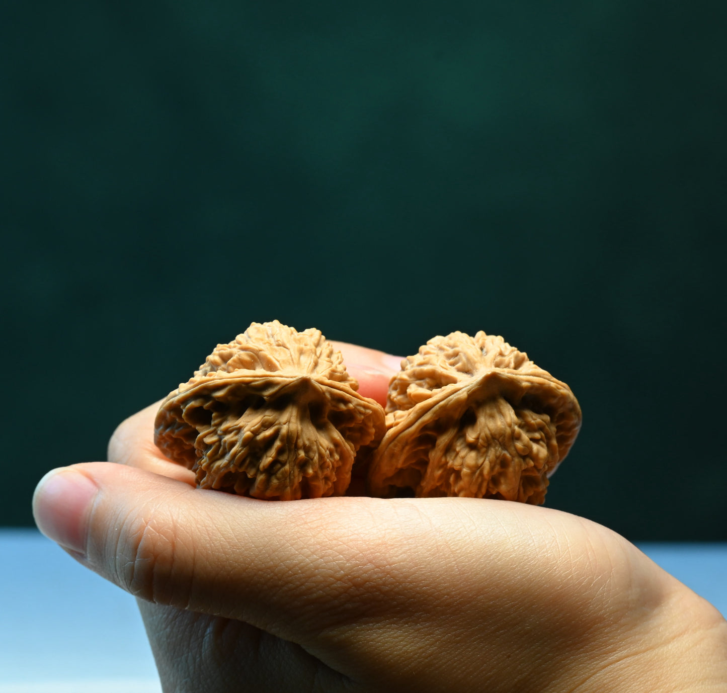 Budget Wenwan Walnuts | Minor Flaws | Great for Beginners｜XiaYunLing Wenwan Walnuts
