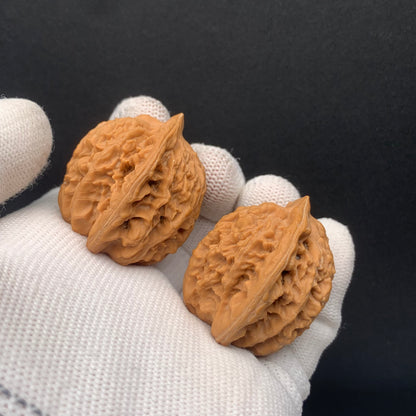 Xiayunling Walnuts | Width35*Belly32*Height37 | No. 0260626-02 | Premium