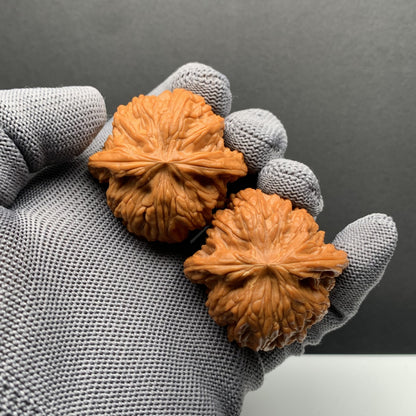 Millstone Wenwan Walnuts | Width42*Belly41*Height34 | N0.69064 | Premium