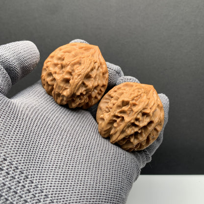 Longmenjian Walnuts | Width39*Belly42*Height38 | N0.69072 | Premium