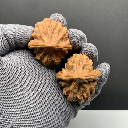 Longmenjian Walnuts | Width39*Belly42*Height38 | N0.69072 | Premium