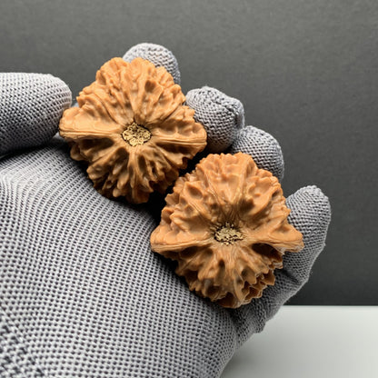 Longmenjian Walnuts | Width41*Belly40*Height40 | N0.69082 | Premium