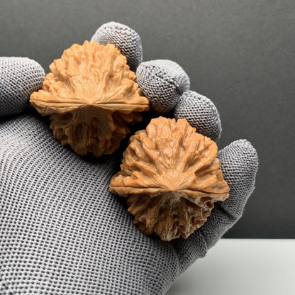 Longmenjian Walnuts | Width41*Belly40*Height40 | N0.69082 | Premium