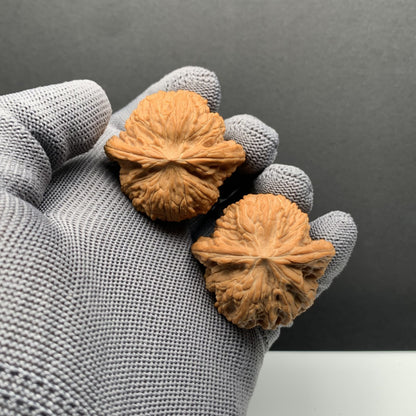 Millstone Wenwan Walnuts | Width40*Belly37*Height36 | N0.69077 | Premium