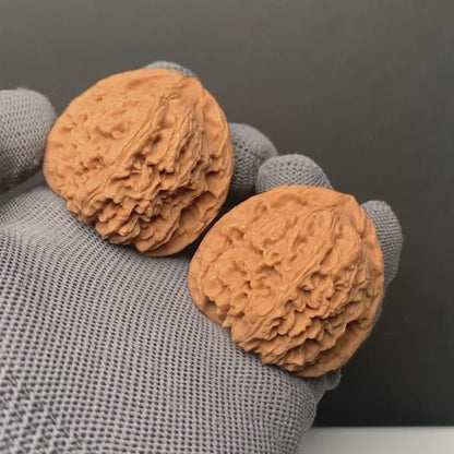 Nanjiangshi Wenwan Walnuts | Width40*Belly41*Height39| NO.69065 |Premium
