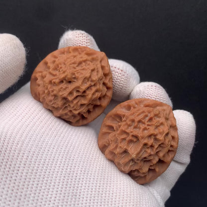 Premium | 32mm Wild Original Tree Roe Grain Noble Hat Walnuts| No. 0260628-02