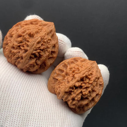 Starry Sky Walnuts | Width38*Belly36*Height38 | No. 0260627-07 | Premium