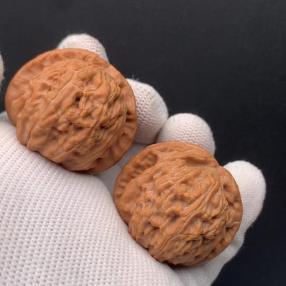 White Lion Walnuts | Width37*Belly37*Height30 | No. 671602 | Premium
