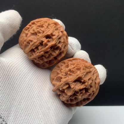 Apple Orchard Walnuts | Width41*Belly42*Height37 | No. 671501 | Premium