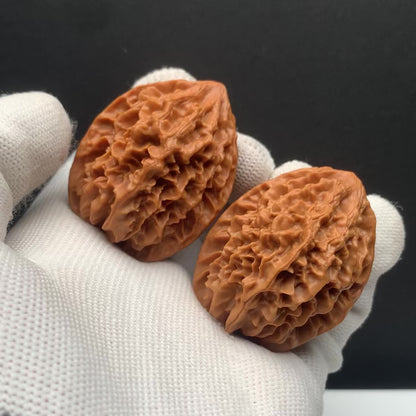 Wealth Rat Walnuts | Width36*Belly36*Height46 | No. 680201 | Premium