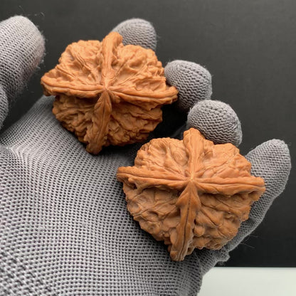 Imperial Seal Four-ridge Wenwan Walnuts | Width48*Belly43*Height42| NO.6101031 | Premium