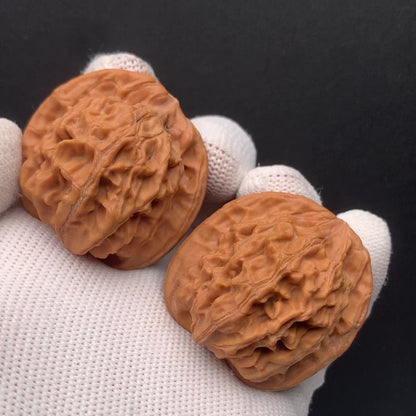 Heaven & Earth Walnuts | Width39*Belly38*Height38 | No. 0260622-05 | Premium