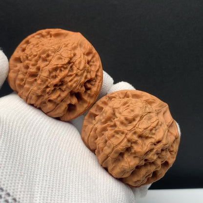 Wang Mansion Hat Walnuts | Width49*Belly42*Height43 | No. 671301 | Premium