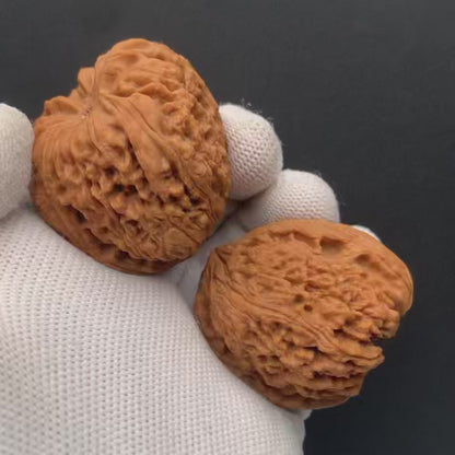 Nanjiang Stone Walnuts | Width39*Belly38*Height39 | No. 0260628-06 | Premium
