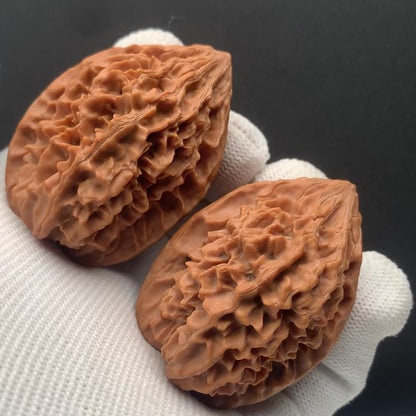 Wealth Rat Walnuts | Width37*Belly38*Height50 | No. 68141 | Premium