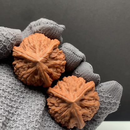 Wenshan Three-Ridged Mercedes-Benz Walnuts | Width39/39/39*Height33 | No.26‑YLCJ‑019 | Premium