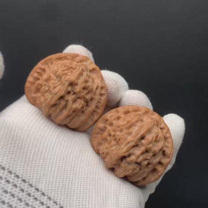 Triangular White Lion Walnuts | Width40*Belly40*Height35 | No. 67273 | Premium