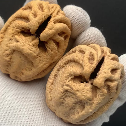 Wild Qiankun Ghost‑Face Walnuts|width*Belly*height| No. B001｜Premium
