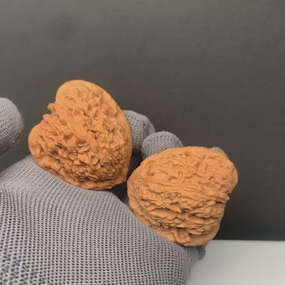 Angel Wing Nanjiangshi Wenwan Walnuts | Width40*Belly40*Height43 |NO.6101020 |Premium
