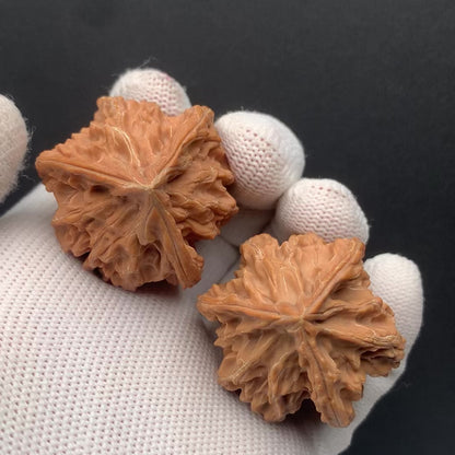 Panshan Triprismatic Walnuts | Width36*Height46 | No. 67303 | Premium