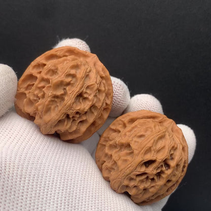 Apple Orchard Walnuts | Width38*Belly37*Height38 | No. 671708 | Premium