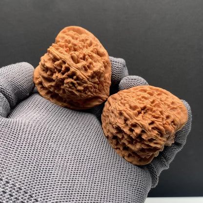 Angel's Wing Nanjiangshi Wenwan Walnuts | Width43*Belly41*Height40 | NO.68316 | Premium