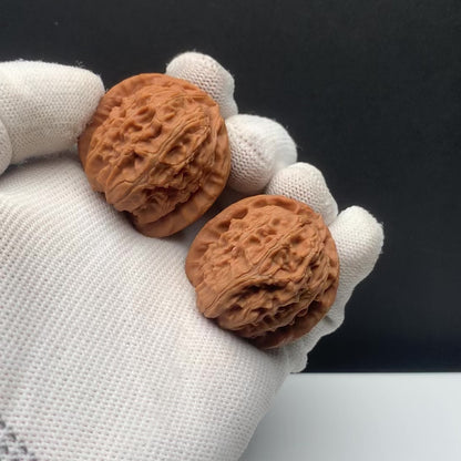 White Lion Walnuts | Width34*Belly36*Height33 | NO.671705 | Premium