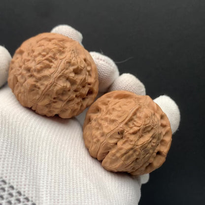 Pumpkin Mound Walnuts | Width41*Belly46*Height35 | No. 6070301 | Premium