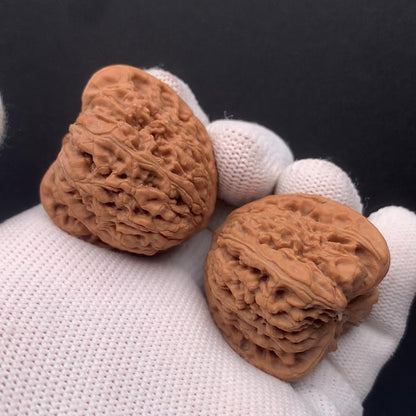 Chengde Dense Grain Walnuts | Width35*Belly33*Height33 | 0260714-2 | Premium