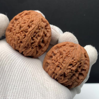 Nanjiang Stone Walnuts | Width33*Belly31*Height31 | NO.608185 | Premium
