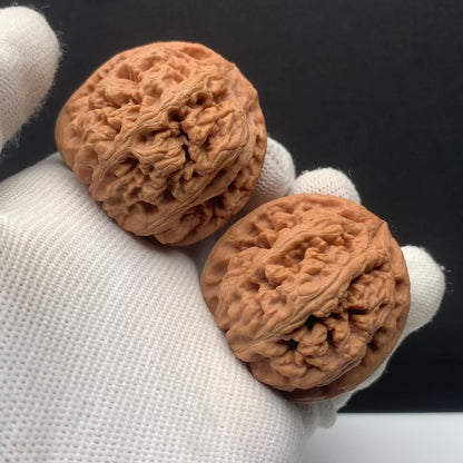 Thick‑Rib Walnuts | Width41*Belly41*Height40 | No. 671009 | Premium