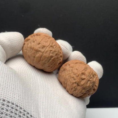 Pumpkin Mound Walnuts | Width38*Belly41*Height30 | No. P67P03 | Premium