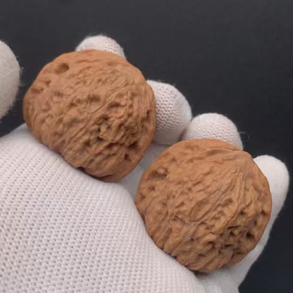 Golden Cicada Walnuts | Width37*Belly32*Height32 | No. 0260714-4 | Premium