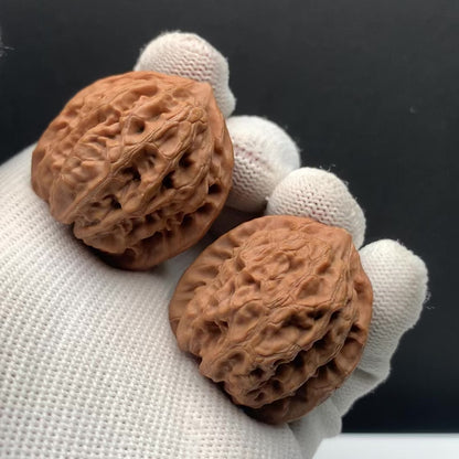 Dragon Vein Triangle Walnuts | Width34*Belly33*Height36 | NO.608182 | Premium