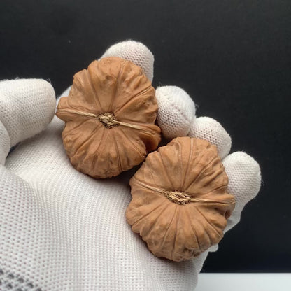 Pumpkin Mound Walnuts | Width38*Belly44*Height31 | No. 067402 | Premium