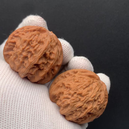 White Lion Walnuts | Width39*Belly37*Height34 | No. 671603 | Premium