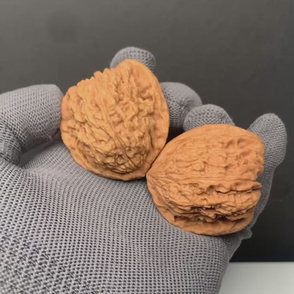 Angel Wing Nanjiangshi Wenwan Walnuts | Width39*Belly40*Height43 | NO.6101028 | Premium