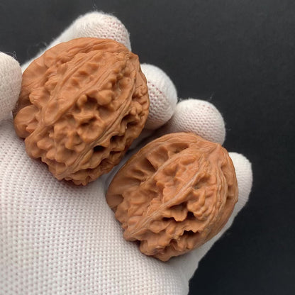 Sanyanggu Thick Rib Walnuts | Width34*Belly41*Height36 | No. 67301 | Premium