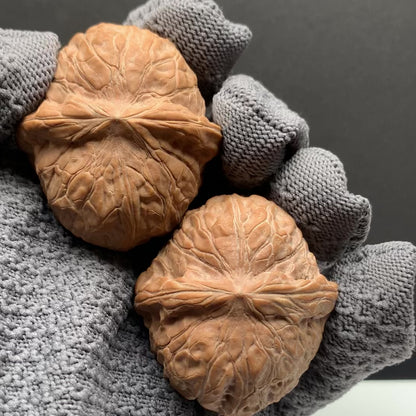 Pumpkin‑block Walnuts | Width41*Belly45*Height30 | No.26-NGD‑002 | Premium