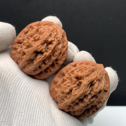 Wheat‑ear Tiger Head Walnuts | Width38*Belly38*Height42 | No.608181 | Premium