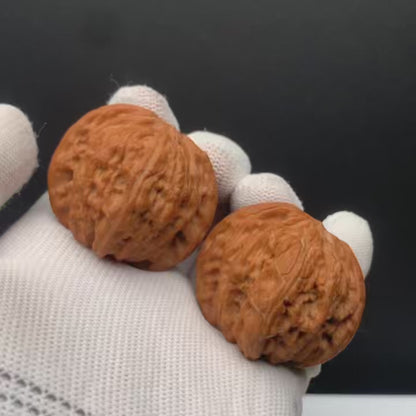 Millstone Walnuts | Width41*Belly39*Height34 | No. 67274 | Premium