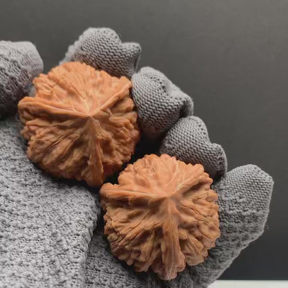 Wenshan Three-Ridged Mercedes-Benz Walnuts | Width40/39/40*Height36 | No.26‑YLCJ‑015 | Premium