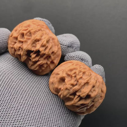 Tiandi Er Ye Mao wenwan walnuts| Width42*Belly39*Height34 | N0.69075 | Premium