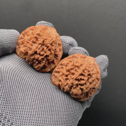 Starry‑Sky Wenwan Walnuts | Width37*Belly34*Height36 | N0.69078 | Premium