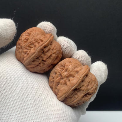 Ingot Walnuts | Width34*Belly36*Height33 | No. 6080401 | Premium
