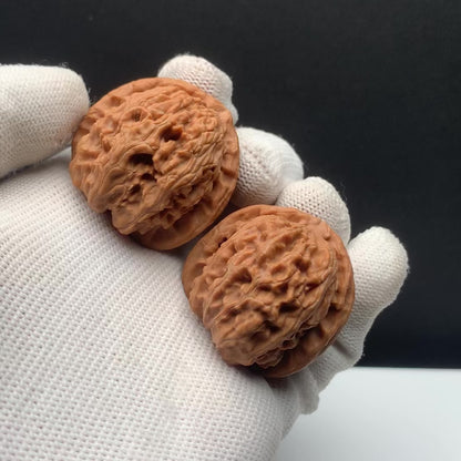 White Lion Walnuts | Width35*Belly38*Height33 | NO.671701 | Premium