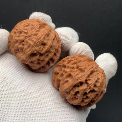 Apple Orchard Walnuts | Width38*Belly39*Height32 | No. 68012 | Premium
