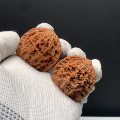 Stars Everywhere Walnuts | Width38*Belly35*Height38 | No. 68011 | Premium