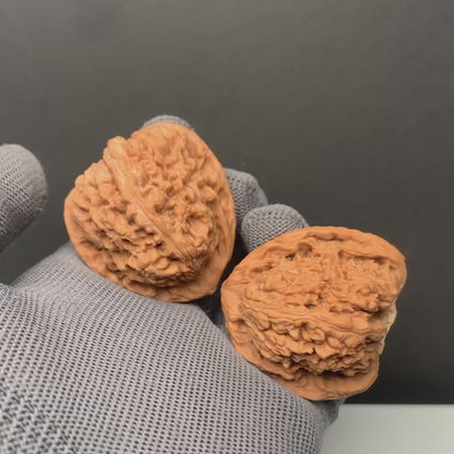 Angel Wing Nanjiangshi Wenwan Walnuts | Width42*Belly40*Height43 | NO.6101016 | Premium